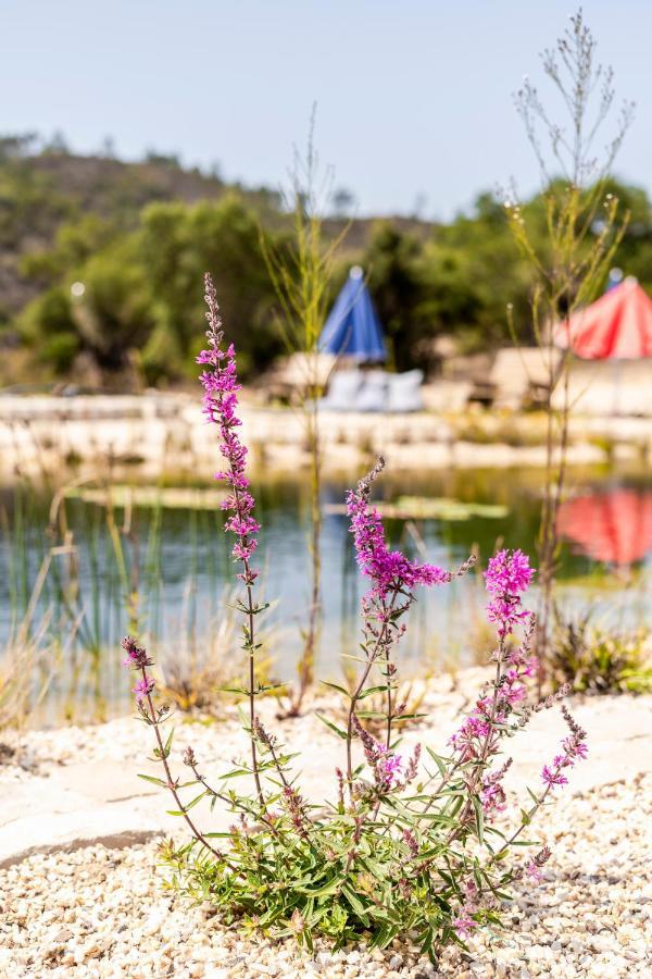 Vida Pura Apartments Odeceixe Εξωτερικό φωτογραφία
